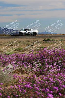 media/Jan-08-2023-SCCA SD (Sun) [[8f6a5b9391]]/Intermediate Group/Session 2 (Short Straight)/